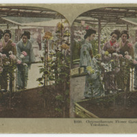 Chrysanthemum Flower Garden and Japanese Ladies. Yokohama