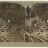 Japanese wood sawers at work